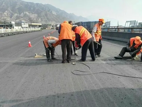 沙雅道路桥梁病害治理